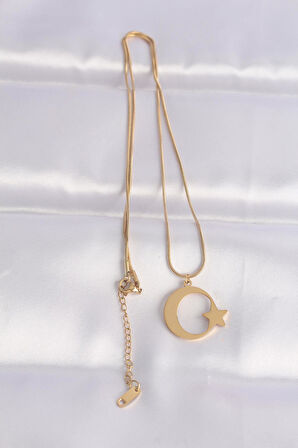 316L Çelik Zincir Gold Renk Ay Yıldız Unisex Kolye  - PRT3500EB01492