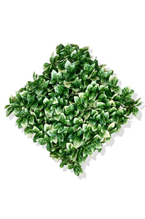 YAPAY BEYAZ DETAYLI PORTAKAL YAPRAĞI BİTKİ DUVAR KAPLAMA 50X50 CM