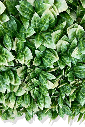 YAPAY BEYAZ DETAYLI PORTAKAL YAPRAĞI BİTKİ DUVAR KAPLAMA 50X50 CM