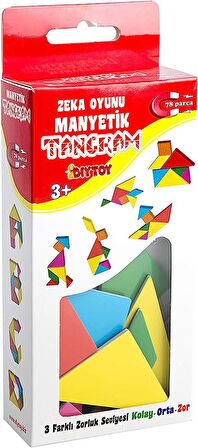 Diytoy Tangram Zeka Oyunu Eğitici Oyuncak Magnet