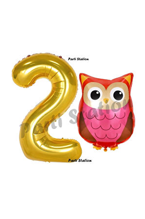 Woodland Baykuş Konsept 9 Yaş Balon Set Sevimli Baykuş Owl ve Gold Rakam Balon Doğum Günü Balon Set