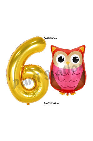 Woodland Baykuş Konsept 9 Yaş Balon Set Sevimli Baykuş Owl ve Gold Rakam Balon Doğum Günü Balon Set