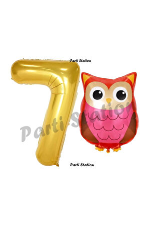 Woodland Baykuş Konsept 9 Yaş Balon Set Sevimli Baykuş Owl ve Gold Rakam Balon Doğum Günü Balon Set