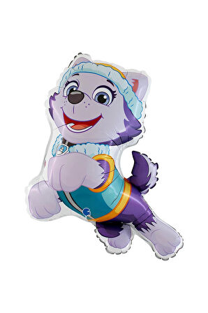 Paw Patrol Everst 7 Yaş Balon Set Paw Patrol Everst Doğum Günü Folyo Balon Set