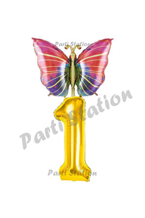 Gökkuşağı Kelebek Konsept 9 Yaş Doğum Günü Balon Set Butterfly Bahar Tema Doğum Günü Balon
