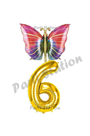 Gökkuşağı Kelebek Konsept 9 Yaş Doğum Günü Balon Set Butterfly Bahar Tema Doğum Günü Balon
