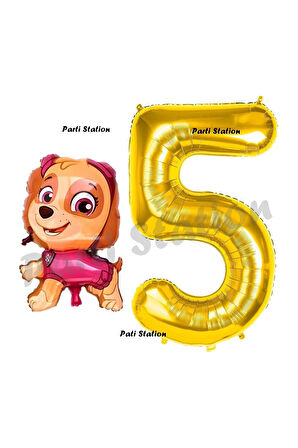 Paw Patrol Skye 1 Yaş Balon ve Gold Rakam Balon Doğum Günü Parti Set