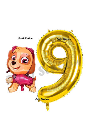 Paw Patrol Skye 1 Yaş Balon ve Gold Rakam Balon Doğum Günü Parti Set