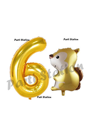 Woodland Sincap Balon 5 Yaş Balon Set Sincap Balon ve Gold Rakam Balon Doğum Günü Seti