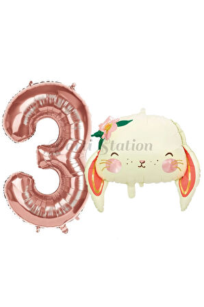 Sevimli Tavşan 1 Yaş Balon Set Woodland Hayvanlar Konsept Tavşan Balon ve Rosegold Renk Rakam Balon