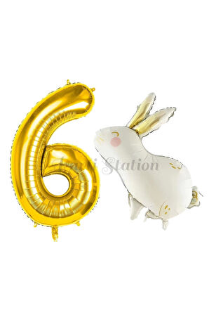 Sevimli Tavşan Rabbit 1 Yaş Balon Set Woodland Konsept Tavşan Balon ve Gold Renk Rakam Balon