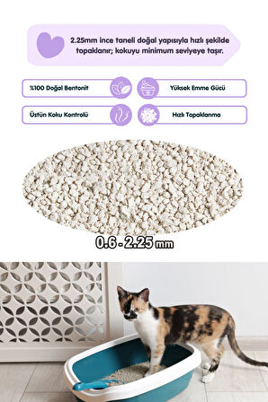 2 Adet 5LT Lavanta Kokulu Bentonit Topaklaşan Kokusuz Kedi Kumu 5LT x 2 Adet