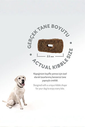 Kolajen Destekli Hipoalerjenik Kuzulu Yetişkin Medium Köpek Maması 3KG + 4 ADET Wanpy Ezme 90gr