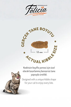 Somonlu Kolajen Destekli Hipoalerjenik Düşük Tahıllı Yetişkin Kedi Maması 5KG