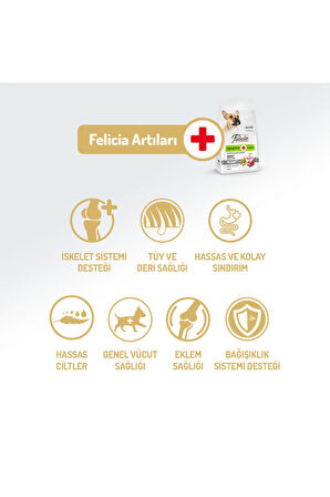 Kolajen Destekli Hipoalerjenik Kuzulu Yetişkin Küçük Irk Köpek Maması 3KG + 4 ADET Wanpy Ezme 90gr