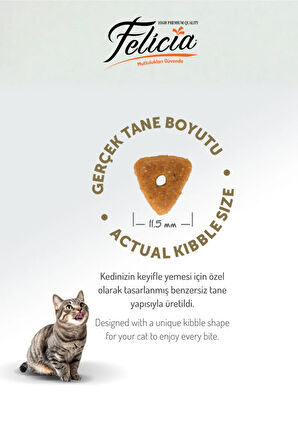 5 kg Somonlu Düşük Tahıllı Yetişkin Kısır Kedi Maması 25li Kedi Ödülü Krema 15li Lolipop