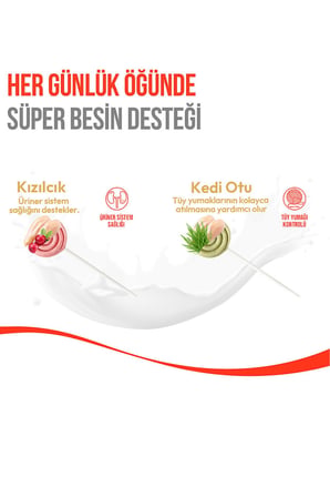 Kediler İçin Dondurularak Kurutulmuş Tüy Yumağı Önleyici Tavuk & Kızılcık Kedi Lolipopu Kedi Ödülü 10 Adet x 1.4gr