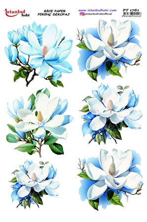 İSTANBUL HOBİ PİRİNÇ DEKOPAJ PT1761