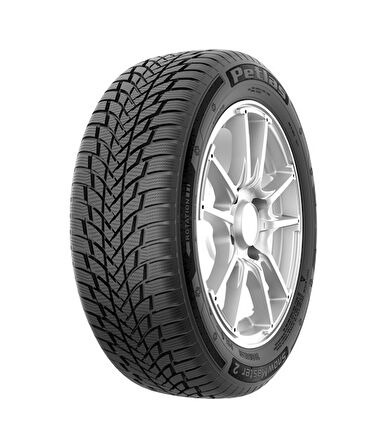 Petlas 205/55 R16 TL 91H Snowmaster 2 Kış Lastiği 2024