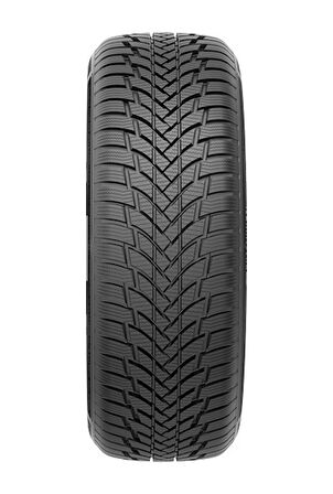 Petlas 205/55 R16 TL 91H Snowmaster 2 Kış Lastiği 2024