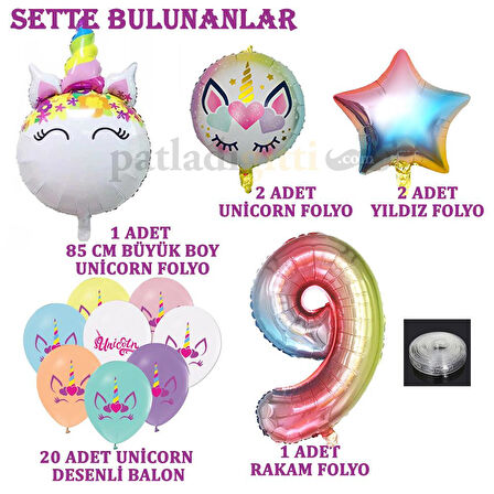 9 Yaş Gökkuşağı Konsepti Unicorn Temalı Doğum Günü Parti Kutlama Seti