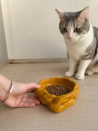Patimalt Eko Form Model Beton Kedi Köpek Mama ve Su Kabı (16cm*16cm*5.5cm) - Bronz