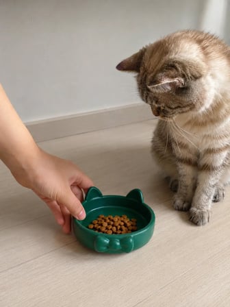 Patimalt Papyon Model Beton Kedi Köpek Mama ve Su Kabı 16 cm çap - Yeşil