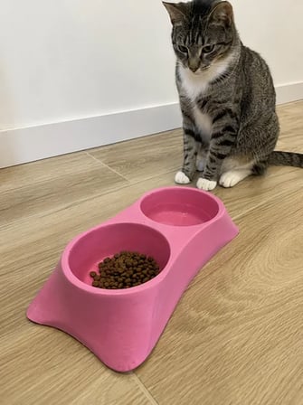 Patimalt İkili Model Beton Kedi Köpek Mama ve Su Kabı (24cm × 12cm × 5cm) - Pembe
