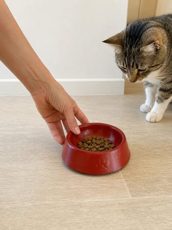 Patimalt Pati Desen Model Beton Kedi Köpek Mama ve Su Kabı 13 cm çap x 4 cm - Kiremit