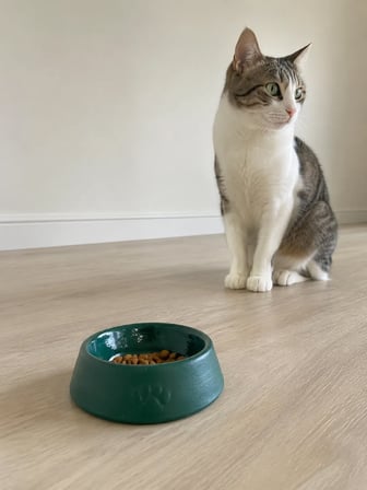 Patimalt Pati Desen Model Beton Kedi Köpek Mama ve Su Kabı 13 cm çap x 4 cm - Yeşil