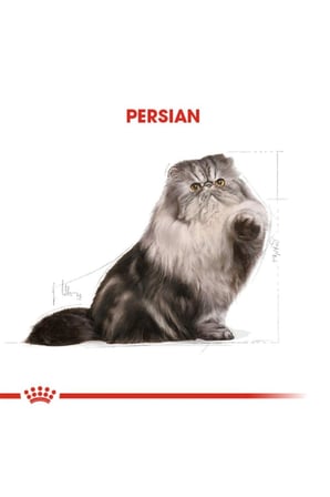 Royal Canin Persian İran Kedilerine Özel Kedi Konservesi 85 Gr 12'Li Paket