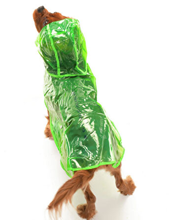 Otso Köpek Yağmurluk - Yeşil