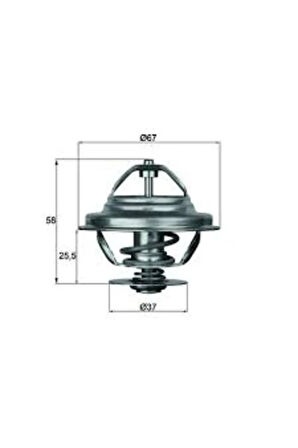 Termostat Bmw E21 E30 E28 E34 M20 M21