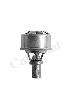 Termostat R12 75c V1324