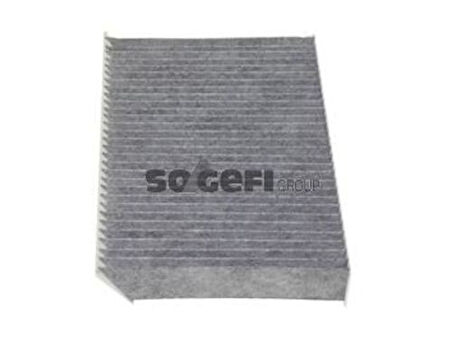 Purflux AHC281 Polen Filtresi Megane III Scenic III Karbonlu 272773488R