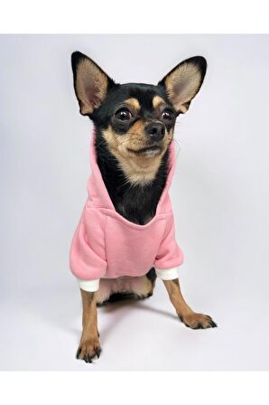 Pink Ladybird Köpek Sweatshirt, Hoodie, Köpek Kazağı, Köpek Kıyafeti