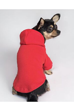 Redly Köpek Sweatshirt, Hoodie, Köpek Kazağı, Köpek Kıyafeti