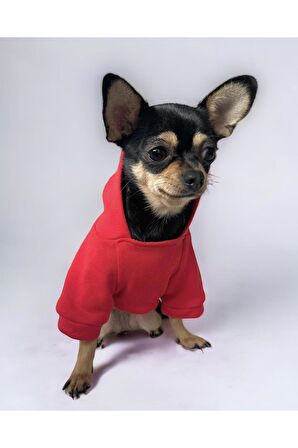 Redly Köpek Sweatshirt, Hoodie, Köpek Kazağı, Köpek Kıyafeti