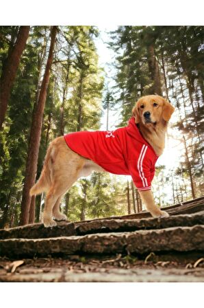 Kırmızı Adidog Gerçek 3 İplik 20-45kg Köpek Sweatshirt, Hoodie, Orta ve Büyük Irklar için