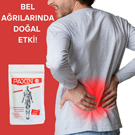 Paxin Ginseng Ağrı Bandı 1 Paket