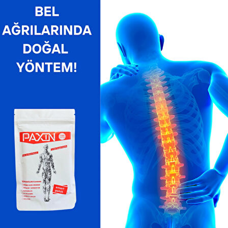 Paxin Ginseng Ağrı Bandı 3 Paket