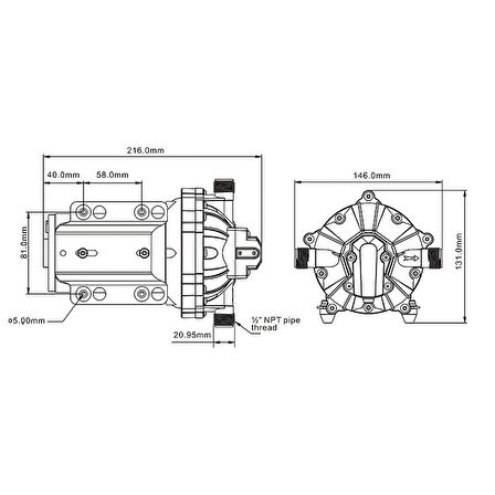 Seaflo Hidrofor 18.90lt/dk 12V 60PSİ 