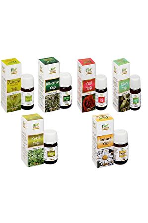 Ada Çayı+ Biberiye+ Gül+ Kekik+ Papatya+ Jojoba Aromatik Masaj-cilt Bakım Yağ Seti 20 Ml