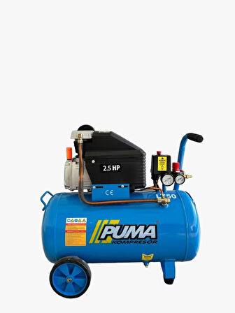 POWER 50 Litre 2.5 HP 220 Volt Akuple Pistonlu Kompresör