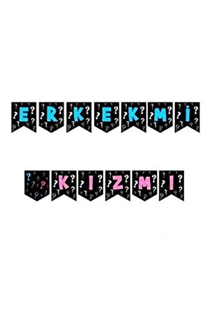 Cinsiyet Öğrenme Zigzag Banner