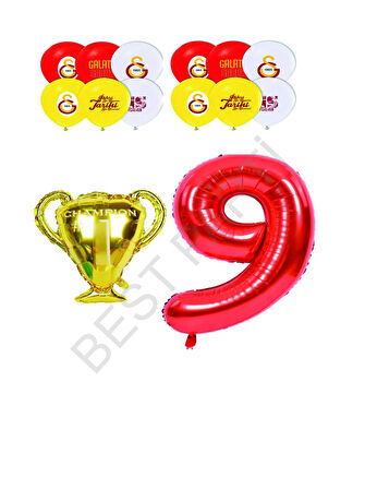 Galatasaray Sarı Kırmızı Doğum Günü Konsepti Yaş 9