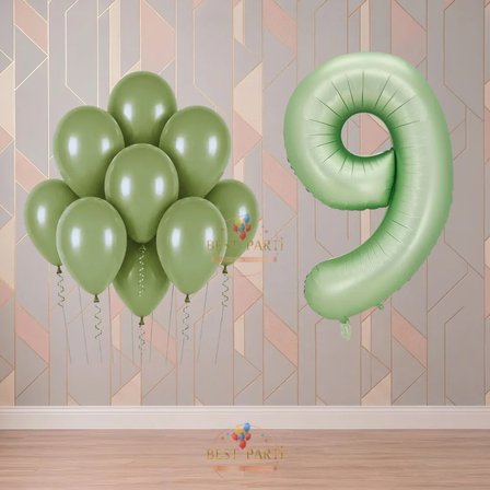 Best 9 Yaş Yeşil Temalı Doğum Günü Parti Seti