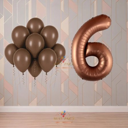 Best 6 Yaş Kahverengi Temalı Doğum Günü Parti Seti