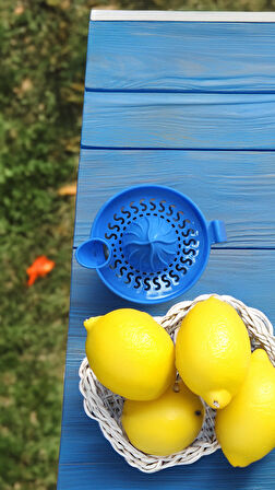 Börte Store Cam Limon Sıkacağı Mavi Kapaklı 300 ml