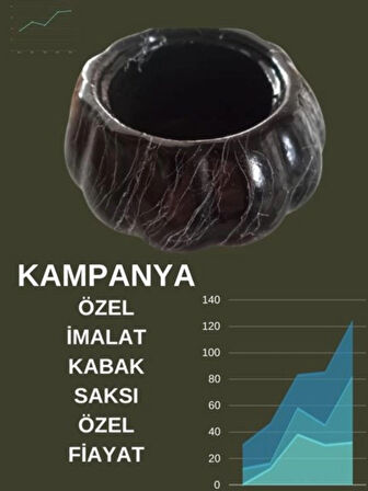 Dekoratif El Emeği Kabak Saksı